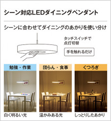 ODELIC �����ǥ�å� �ڥ����ȥ饤�� OP252038 �̿�4