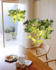 ODELIC �����ǥ�å� �ڥ����ȥ饤�� OP252319BC �̿�3