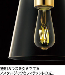 ODELIC �����ǥ�å� �ڥ����ȥ饤�� OP252416LC �̿�2