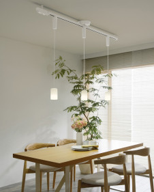 ODELIC �����ǥ�å� �ڥ����ȥ饤�� OP252569LD �̿�1