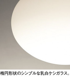 ODELIC �����ǥ�å� �ڥ����ȥ饤�� OP252584LD �̿�1