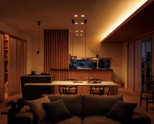 ODELIC �����ǥ�å� �ڥ����ȥ饤�� OP252596BC �̿�5