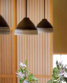 ODELIC �����ǥ�å� �ڥ����ȥ饤�� OP252598BC �̿�4