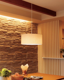 ODELIC ǥå ڥȥ饤 OP252603BC ̿3