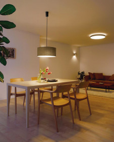 ODELIC �����ǥ�å� �ڥ����ȥ饤�� OP252604BC �̿�2