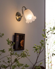 ODELIC �����ǥ�å� �֥饱�å� OB080814LC �̿�1