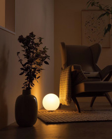 ODELIC ǥå  OT265029BC ̿1