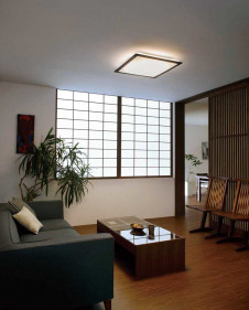 ODELIC �����ǥ�å� ������󥰥饤�� OL251471BC �̿�2