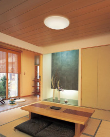 ODELIC �����ǥ�å� ������󥰥饤�� OL251498BC1 �̿�2