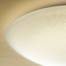 ODELIC �����ǥ�å� ������󥰥饤�� OL251498N �̿�3