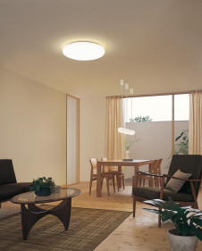 ODELIC �����ǥ�å� ������󥰥饤�� OL251819 �̿�1