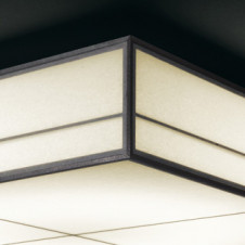 ODELIC �����ǥ�å� ������󥰥饤�� OL251837 �̿�2