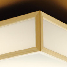 ODELIC �����ǥ�å� ������󥰥饤�� OL291098N �̿�2