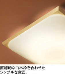 ODELIC �����ǥ�å� ������󥰥饤�� OL291344N �̿�2