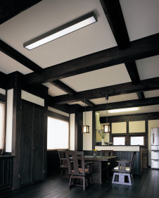 ODELIC �����ǥ�å� ������󥰥饤�� OL291872P2E �̿�1