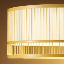 ODELIC �����ǥ�å� �ڥ����ȥ饤�� OP252497LD �̿�3