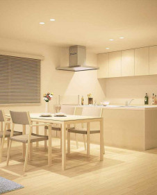 ODELIC �����ǥ�å� ������饤�� OD261722P1 �̿�3