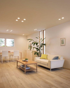 ODELIC �����ǥ�å� ������饤�� OD261894 �̿�5