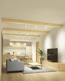 ODELIC �����ǥ�å� ���ݥåȥ饤�� OS256506 �̿�1