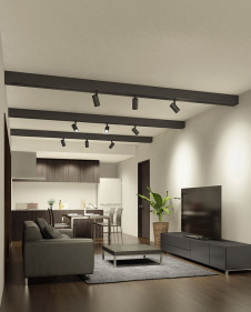 ODELIC �����ǥ�å� ���ݥåȥ饤�� OS256533 �̿�1