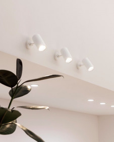 ODELIC ǥå ݥåȥ饤 OS256550BC ̿3