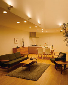 ODELIC �����ǥ�å� ���ݥåȥ饤�� OS256577LD �̿�2