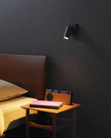 ODELIC �����ǥ�å� ���ݥåȥ饤�� OS256609BC �̿�1