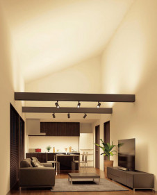 ODELIC �����ǥ�å� �����Ѵ��ܾ��� OL291458 �̿�2