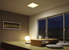 �ܹ��� | DAIKO ����ŵ� ���Ĵ���١����饤�� DBL-4641FT | ���������̿����䡦����ƥꥢ���������Ρڥ饤�ȥ��������