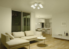 ܹ | DAIKO ŵ ǥꥢ DCH-38795Y | ̿䡦ƥꥢΡڥ饤ȥ