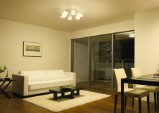 ܹ | DAIKO ŵ ǥꥢ DCH-38795Y | ̿䡦ƥꥢΡڥ饤ȥ