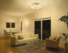 �ܹ��� | DAIKO ����ŵ� �����ǥꥢ DCH-39455Y | ���������̿����䡦����ƥꥢ���������Ρڥ饤�ȥ��������