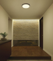 ����� | DAIKO ����ŵ� ����������� DCL-38608Y | ���������̿����䡦����ƥꥢ���������Ρڥ饤�ȥ��������