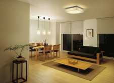 �ܹ��� | DAIKO ����ŵ� ����Ĵ��������� DCL-38834 | ���������̿����䡦����ƥꥢ���������Ρڥ饤�ȥ��������