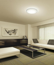 ܹ | DAIKO ŵ Ĵ DCL-39687 | ̿䡦ƥꥢΡڥ饤ȥ