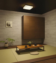 �ܹ��� | DAIKO ����ŵ� ����Ĵ��������� DCL-39784 | ���������̿����䡦����ƥꥢ���������Ρڥ饤�ȥ��������