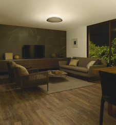 �ܹ��� | DAIKO ����ŵ� Ĵ��������� DCL-41109 | ���������̿����䡦����ƥꥢ���������Ρڥ饤�ȥ��������