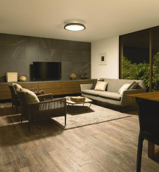 �ܹ��� | DAIKO ����ŵ� Ĵ��������� DCL-41110 | ���������̿����䡦����ƥꥢ���������Ρڥ饤�ȥ��������