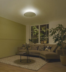 �ܹ��� | DAIKO ����ŵ� Ĵ��������� DCL-41230 | ���������̿����䡦����ƥꥢ���������Ρڥ饤�ȥ��������