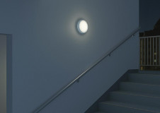 ܹ | DAIKO ŵ  DEG-40234WE | ̿䡦ƥꥢΡڥ饤ȥ