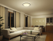 �ܹ��� | DAIKO ����ŵ� �����ڥ����� DPN-38235Y | ���������̿����䡦����ƥꥢ���������Ρڥ饤�ȥ��������