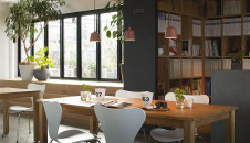 �ܹ��� | DAIKO ����ŵ� �ڥ����� DPN-40439Y | ���������̿����䡦����ƥꥢ���������Ρڥ饤�ȥ��������