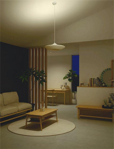 �ܹ��� | DAIKO ����ŵ� Ĵ���ڥ����� DPN-40972 | ���������̿����䡦����ƥꥢ���������Ρڥ饤�ȥ��������