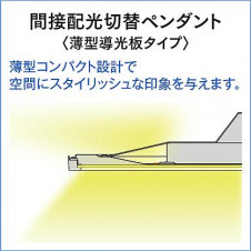 DAIKO ����ŵ� Ĵ���ڥ����� DPN-41107 �̿�4