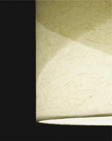 ���ͼ̿� | DAIKO ����ŵ� �����ڥ����� DPN-41153Y | ���������̿����䡦����ƥꥢ���������Ρڥ饤�ȥ��������