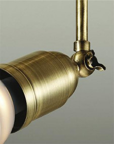 ���ͼ̿� | DAIKO ����ŵ� ���ݥåȥ饤�� DSL-4833YTG | ���������̿����䡦����ƥꥢ���������Ρڥ饤�ȥ��������