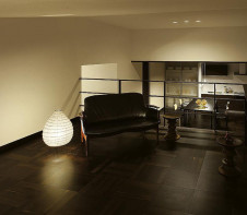 �ܹ��� | DAIKO ����ŵ� ����������� DST-38819Y | ���������̿����䡦����ƥꥢ���������Ρڥ饤�ȥ��������