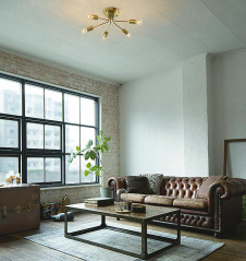 �ܹ���|DAIKO ����ŵ� �����ǥꥢ DCH-41067Y