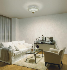 �ܹ���|DAIKO ����ŵ� Ĵ�������ǥꥢ DCH-41310