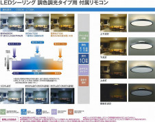 |DAIKO ŵ Ĵǥꥢ DCH-41313